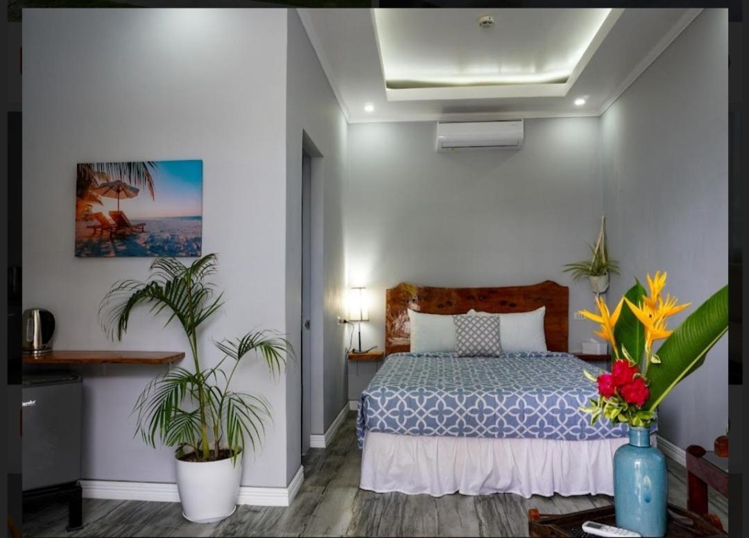 Hotel Palm View Apartelle Moalboal Esterno foto